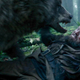 A totally consensual interaction between bear and man